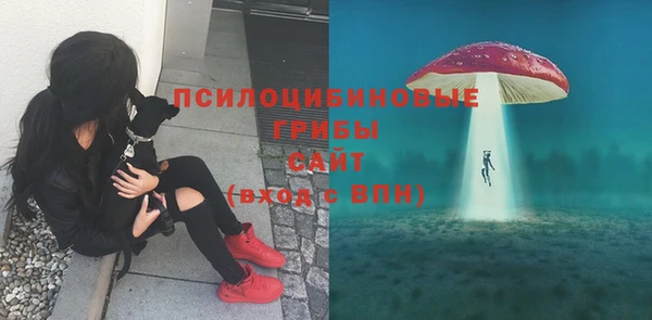 ешки Арсеньев