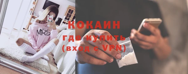 ешки Арсеньев